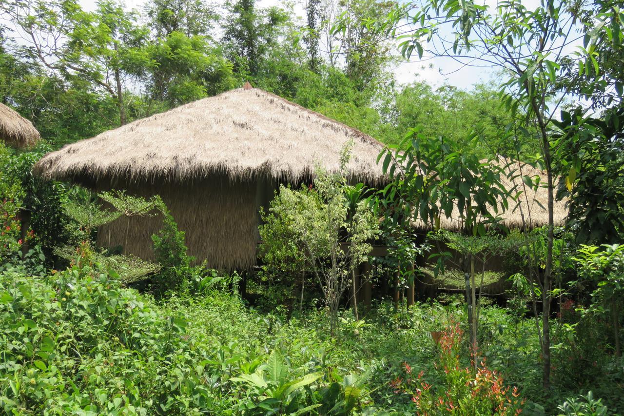 Rainbow Lodge Tatai Luaran gambar